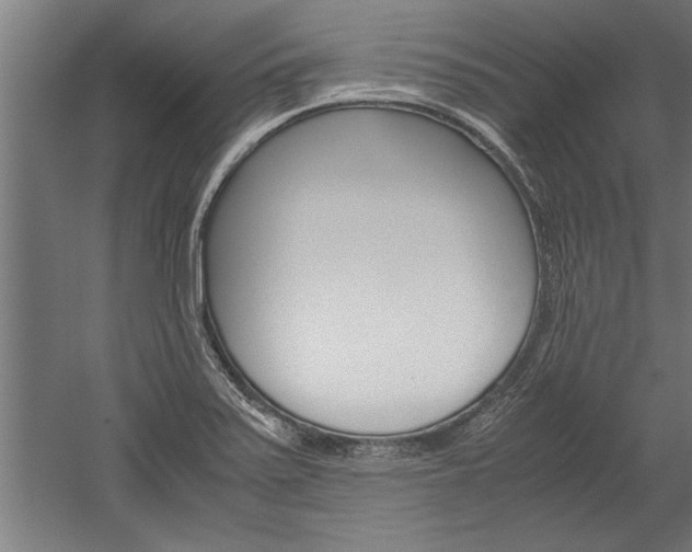 X0000060261371200510280958