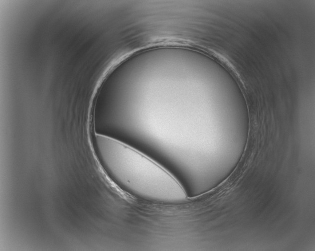 X0000060261379200510280958