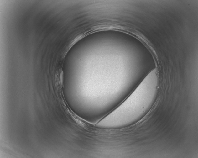 X0000060261385200510280957