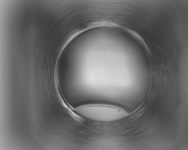 X0000060261391200510280957