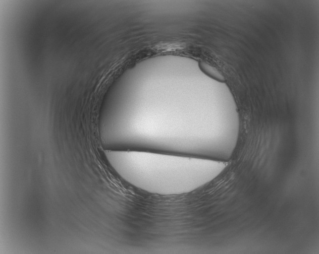 X0000060261393200510280956
