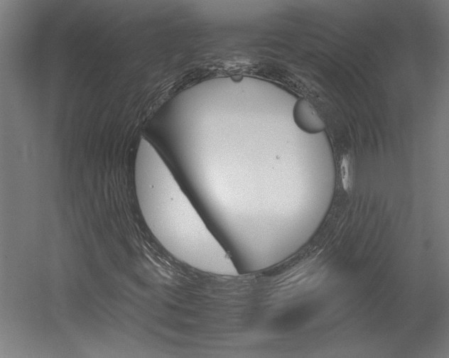 X0000060261395200510280957