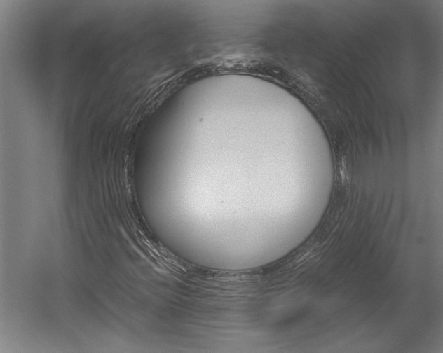 X0000060261396200510280957