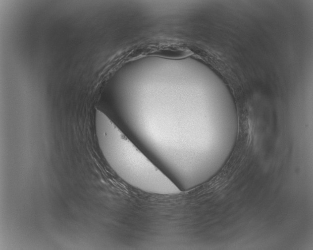 X0000060261397200510280957