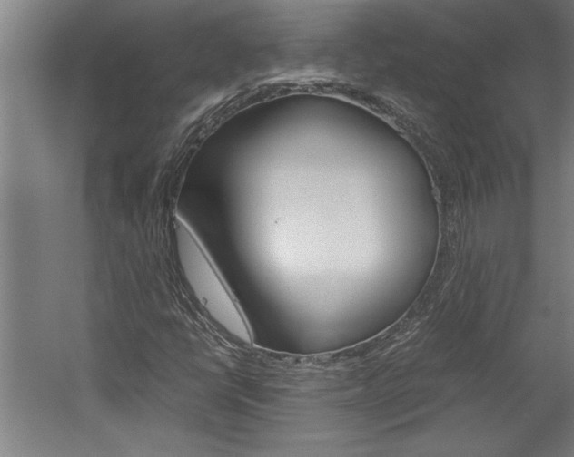 X0000060261398200510280957
