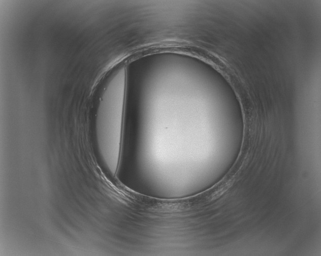 X0000060261402200510280957