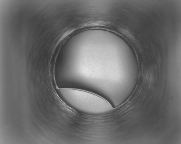 X0000060261404200510280957