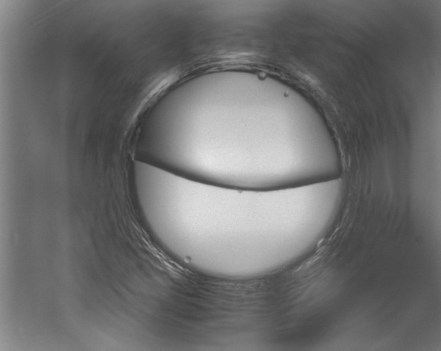 X0000060261405200510280957
