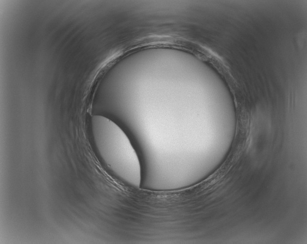 X0000060261411200510280957