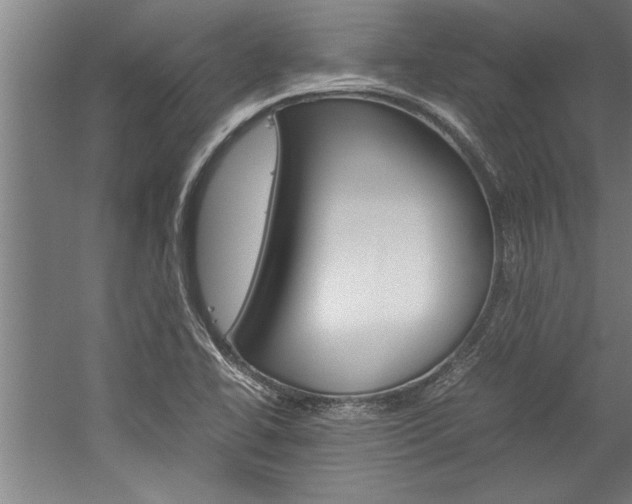 X0000060261414200510280957