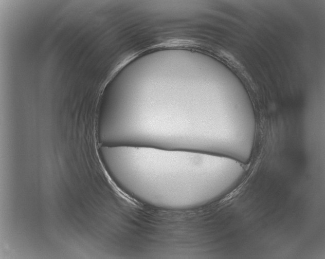X0000060261425200510280957