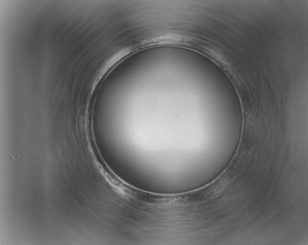 X0000060261426200510280957