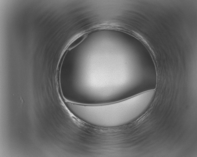 X0000060261434200510280957