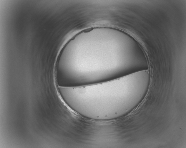 X0000060261440200510280957