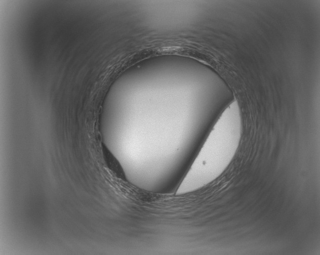 X0000060261441200510280956