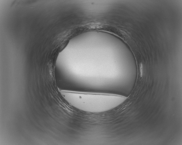 X0000060261444200510280956