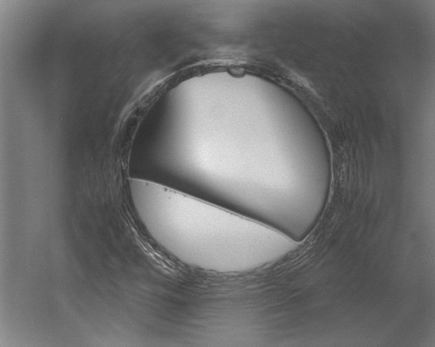 X0000060261448200510280956