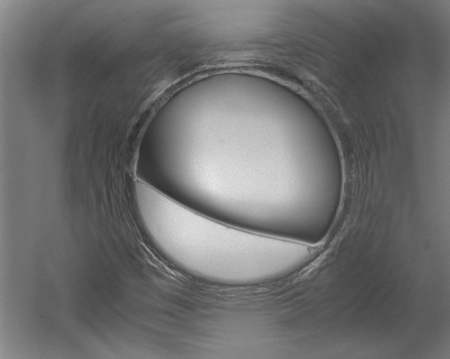X0000060261449200510280956