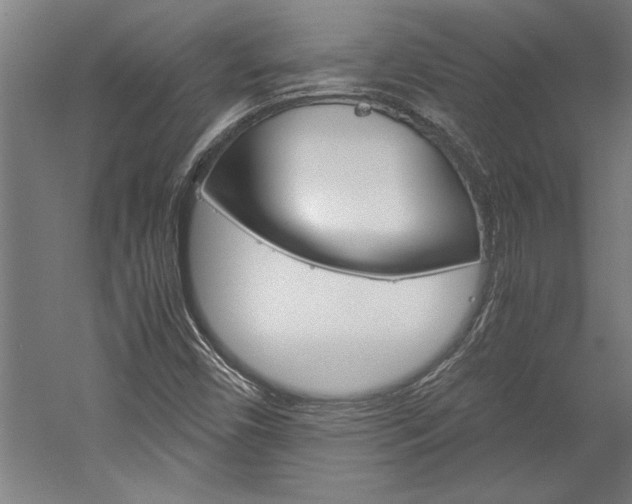 X0000060261450200510280956