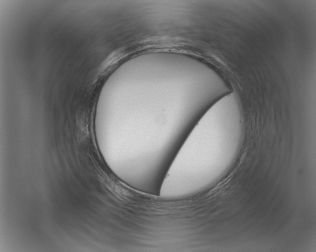 X0000060261451200510280956