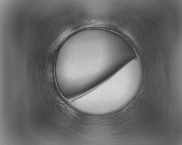 X0000060261455200510280956