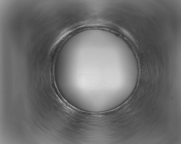 X0000060261456200510280956