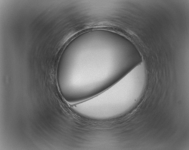 X0000060261457200510280956