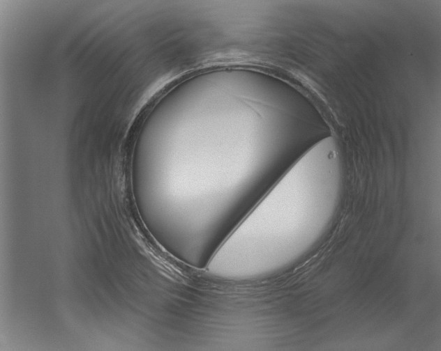 X0000060261458200510280956