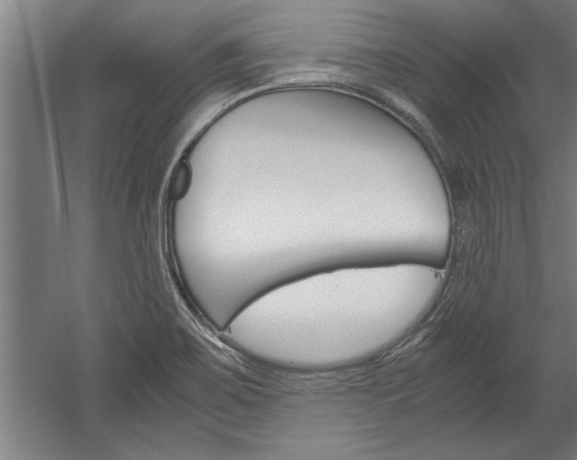 X0000060261467200510280956
