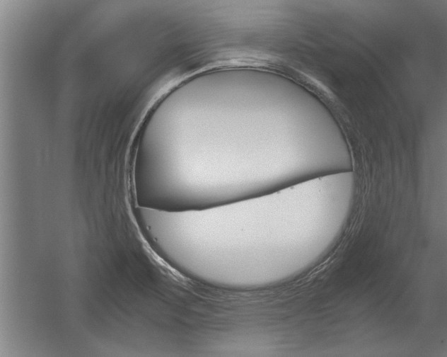 X0000060261471200510280956