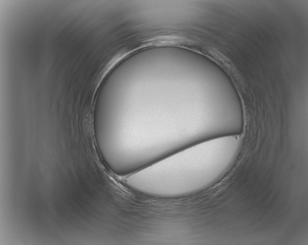 X0000060261473200510280956