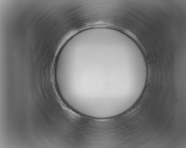 X0000060261474200510280956