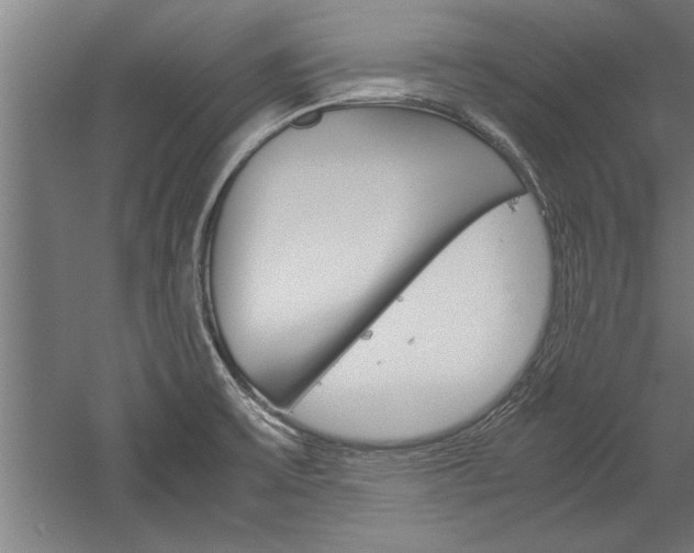 X0000060261475200510280956