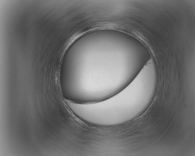 X0000060261481200510280956