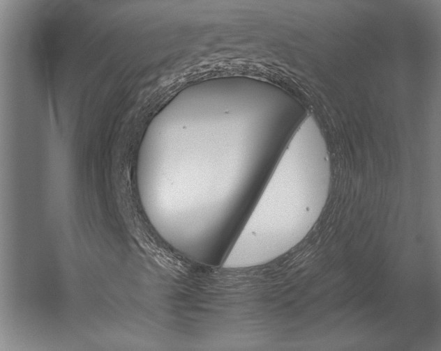 X0000060261489200510280955