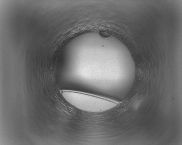 X0000060261490200510280955