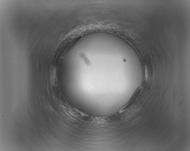 X0000060261492200510280955