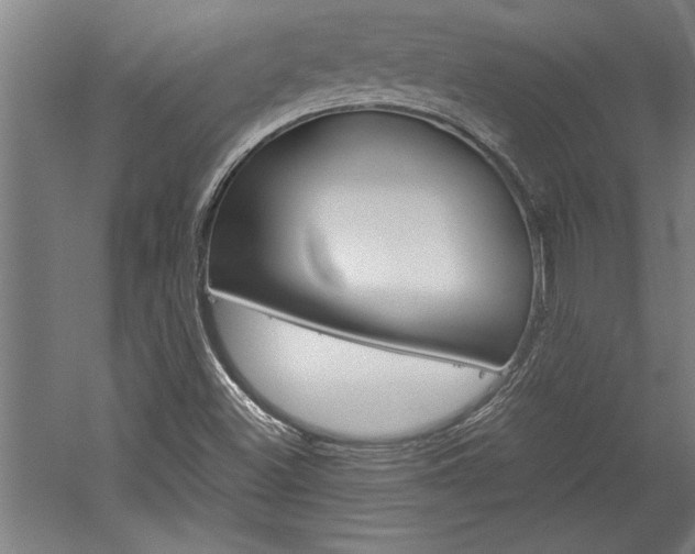 X0000060261500200510280955
