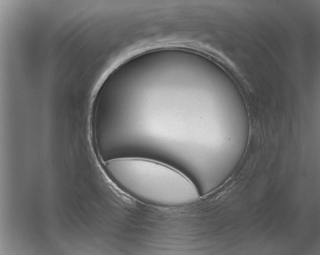 X0000060261512200510280955