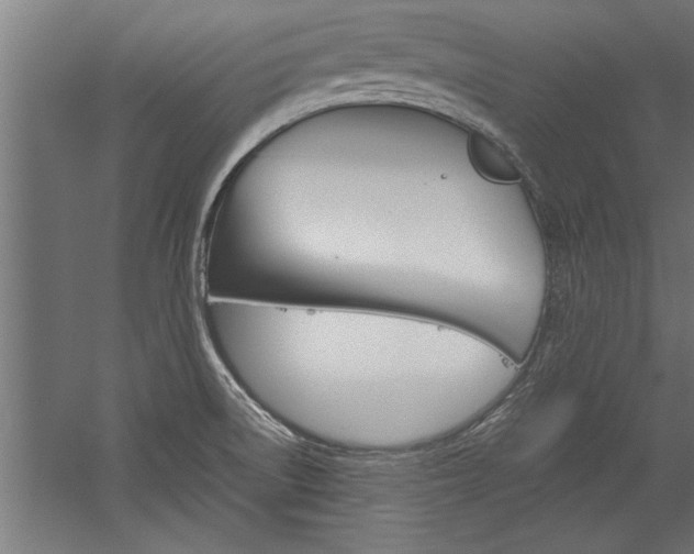 X0000060261522200510280955