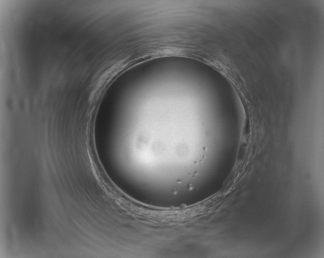 X0000060260001200510281218