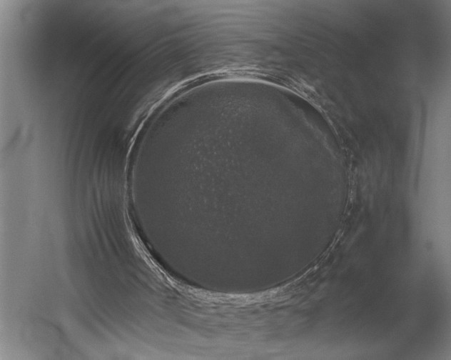 X0000060260002200510281218