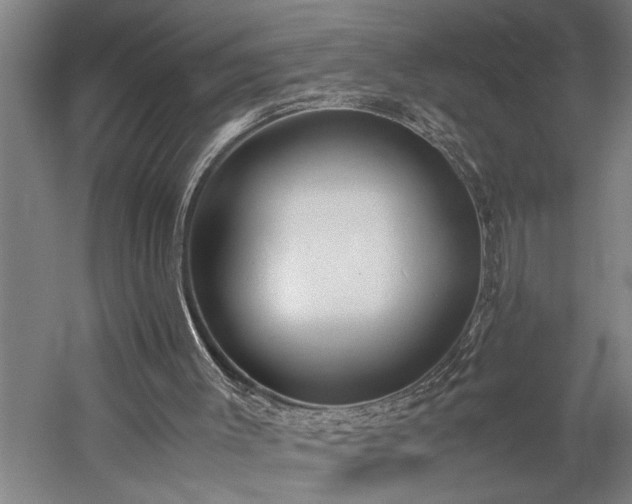 X0000060260003200510281218