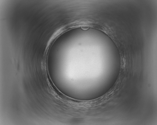 X0000060260004200510281217