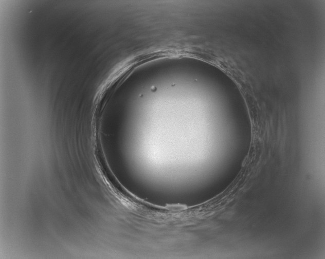 X0000060260005200510281217