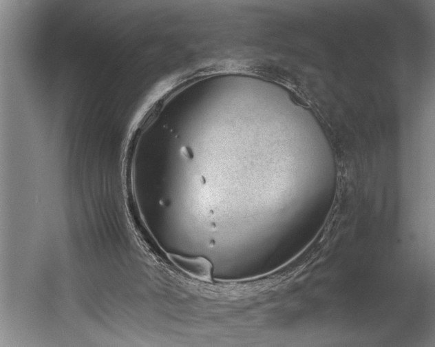 X0000060260006200510281217