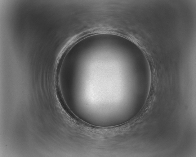 X0000060260007200510281217