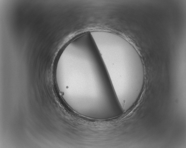 X0000060260008200510281217