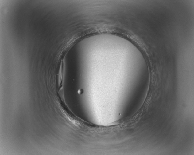 X0000060260009200510281217