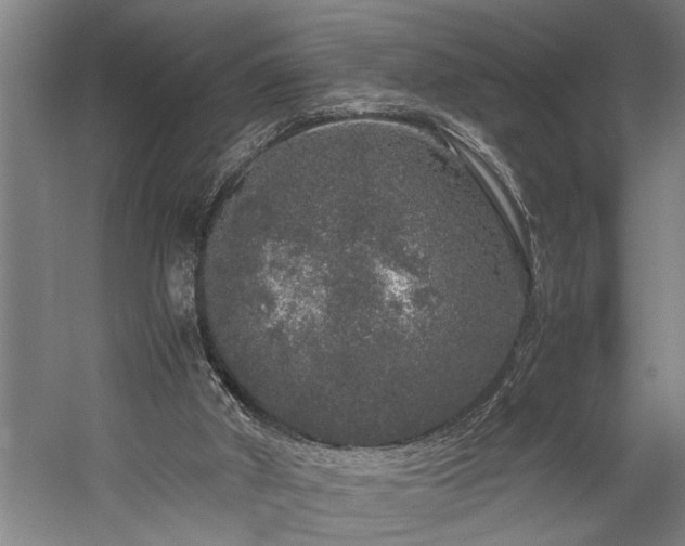 X0000060260010200510281217